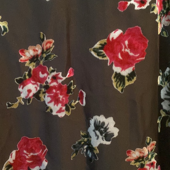 Never been worn. Anna Sui for ModCloth dress. Empire waist. Full length. - Picture 3 of 4